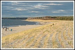 Strand auf Fischland-Dar-Zingst